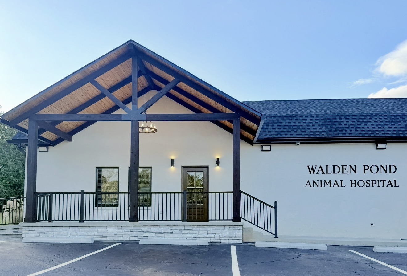 Walden Pond Animal Hospital — Addition & Renovation — Commercial project by Voak Construction in Wiregrass Region